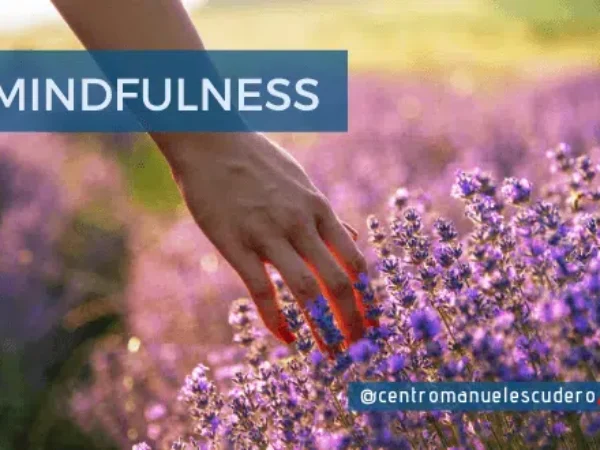 Qué es el mindfulness: reduce el estrés y la ansiedad